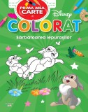 Disney, Prima mea carte de colorat, Sarbatoarea iepurasilor, Litera
