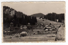 COLIBITA KOLIBICA VEDERE PANORAMICA foto