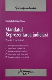 Mandatul. Reprezentarea judiciara. Practica judiciara - Luminita Cristina Stoica
