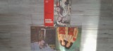 Lot 3 viniluri muzica romaneasca #81