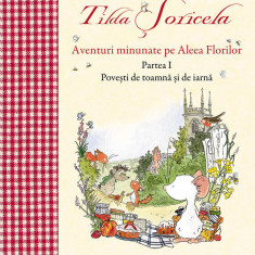 Tilda Soricela- Aventuri minunate pe Aleea Florilor - Partea I povesti de toamna si de iarna