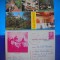 HOPCT LOT 2233 CASTELUL BRAN -IP -JUD BRASOV-2 CARTI POSTALE-CIRCULATE