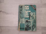 Luna de pe cer de Ion Lila