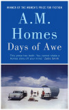 Days of Awe | A.M. Homes, 2019, Granta Books
