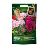 Ingrasamant pentru muscate si plante de balcon Versay, lichid, 20 ml