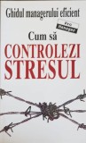 GHIDUL MANAGERULUI EFICIENT: CUM SA CONTROLEZI STRESUL-KATE KEENAN-361018