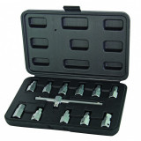 Set 12 chei pentru buson ulei Top Master Pro, Hex 8-17 mm, otel crom-vanadiu
