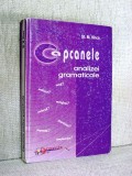 Carte Eseu Critica Literara: Capcanele analizei gramaticale limba romana - St. M. Ilinca