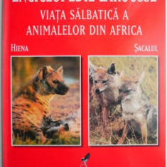 Viata salbatica a animalelor din Africa (Sacalul, hiena)