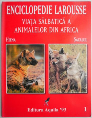 Viata salbatica a animalelor din Africa (Sacalul, hiena) foto