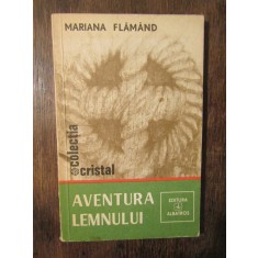 Aventura lemnului - Mariana Flăm&acirc;nd