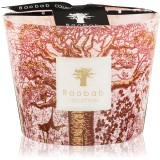 Baobab Collection Sacred Trees Woroba lum&acirc;nare parfumată 10 cm