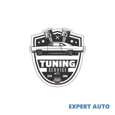 Abtibild tag retro tuning service cod: tag 019 / t2 Alta marca Alt model #7 foto