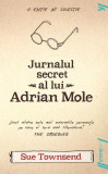 Jurnalul secret al lui Adrian Mole - PB - Paperback brosat - Sue Townsend - Young Art