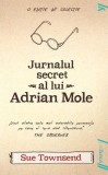 Jurnalul secret al lui Adrian Mole - Sue Townsend