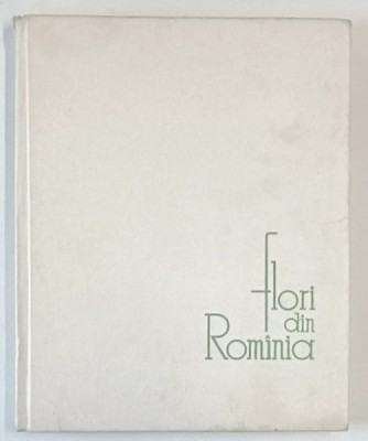 FLORI DIN ROMANIA, BUC.1964 foto