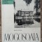 Mogosoaia - Radu Popa