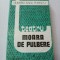 Moara de pulbere - Dumitru Radu Popescu