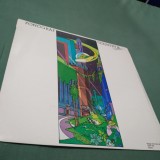 DISC VINIL FONOGRAF COUNTRY &amp; EASTERN DISC UNGURESC RARITATE!!!!!! STARE BUNA/FOARTE BUNA