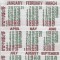 Romania, S.C. Pasmatex S.A. Timisoara, calendar semn de carte, 2011