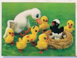 Bnk cp Carte postala 3D - Felicitare de paste - Japonia Wonder Co SSP-177, Circulata, Printata
