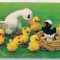 bnk cp Carte postala 3D - Felicitare de paste - Japonia Wonder Co SSP-177