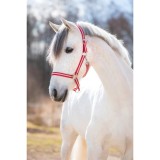 Capastru Hippo-Kerbl pentru cai, bordo cu bej