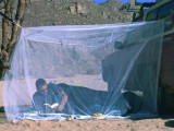 Plasa de Tantari Brettschneider Fine Mesh Box I | 1 Persoana | Poliester 800 Mesh | Cutie | 2.0m x 0.8m x 1.5m