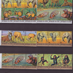 164-GUINEEA=Animale africane-Serie de 36 timbre nestampilate in 6 streifuri