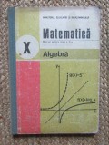 MANUAL MATEMATICA ALGEBRA CLASA X C.NASTASESCU 1989