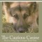 The Cautious Canine: How to Help Dogs Conquer Their Fears