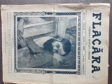 REVISTA FLACARA , cultura si politica , vechime peste 100 de ani