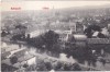 Kolozsvar. Latkep (circulata 1908)