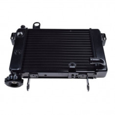 Radiator racire Honda CBR125 Cod Produs: MX_NEW ACH0012