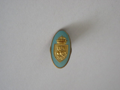 QW9 I 35 - Insigna - tematica heraldica - stema orasului Giurgiu foto