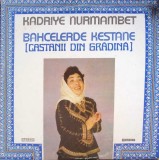 Disc vinil, LP. Bahcelerde Kestane (Castanii Din Gradina)-KADRIYE NURMAMBET-264301