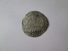 Rara! Lituania-Polonia 1/2 Gross 1560 argint Sigismund II August foto