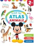 Cumpara ieftin Primul meu atlas. Animale/***