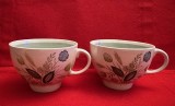 2 CESTI - MARCAJ WOOD&#039; S ENGLAND- COLECTIA &quot;CLOVELLY&quot;