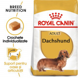 Royal Canin Dachshund Adult hrană uscată c&acirc;ine Teckel, 1.5kg