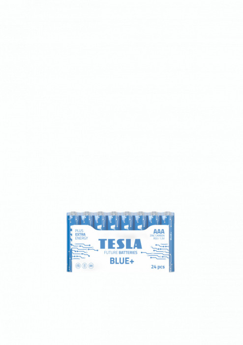 Baterii AAA Blue+ 1099137012 Voltaj 1,5 Zinc Carbon 24 bucati