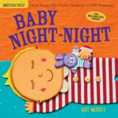 Baby Night-Night, Paperback/Kate Merritt foto