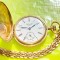 C384-Ceas CHS. TISSOT &amp; Fills Elgin NAPOLEON Admiral Tacy Watch Co.