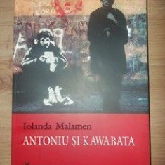 Antoniu si Kawabata- Iolanda Malamen