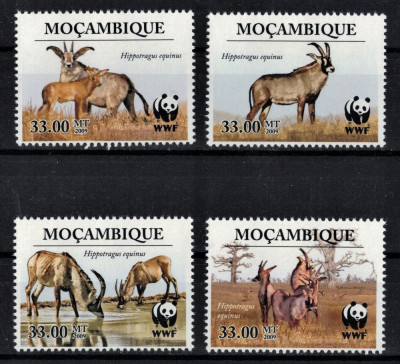 MOZAMBIC 2009 - Fauna WWF, Antilope / serie completa MNH foto