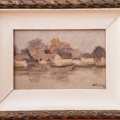 ADRIAN PODOLEANU-PICTOR IESEAN-PEISAJ DIN DELTA-1976-ULEI PE CARTON-28x19 CM