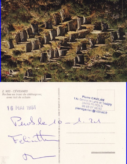 Ilustrata Franta - Cevennes