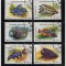 MADAGASCAR , MALAGASY 1994 - PESTI ,TIMBRE STAMPILATE