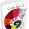 Cameleonul - Eric Carle