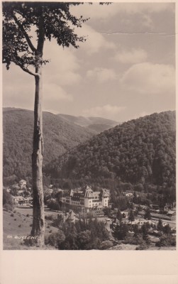 CARTE POSTALA BUSTENI foto
